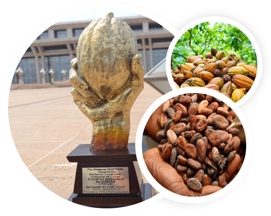 1er Producteur de Cacao de Côte d'Ivoire 